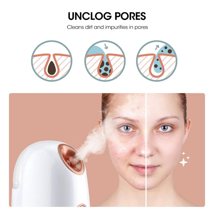 Face Steamer